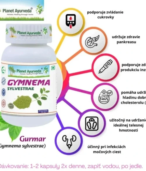 Gymnema Sylvestre (Gurmar) - Cukor, Metabolizmus - 500 mg, 60 kapsúl – Obrázok 3