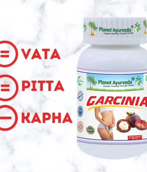 Garcinia - Chudnutie, Metabolizmus - 500 mg, 60 kapsúl – Obrázok 3
