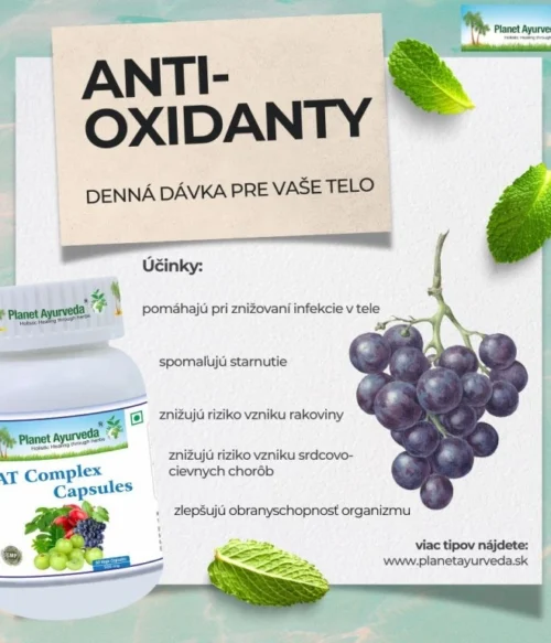 AT Complex - Antioxidanty, Imunita, Detox, Zápaly - 500 mg, 60 kapsúl – Obrázok 3