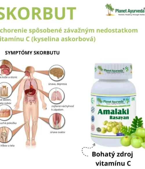 Amla Amalaki Rasayan - Imunita, Vitalita - 500 mg, 60 kapsúl – Obrázok 4