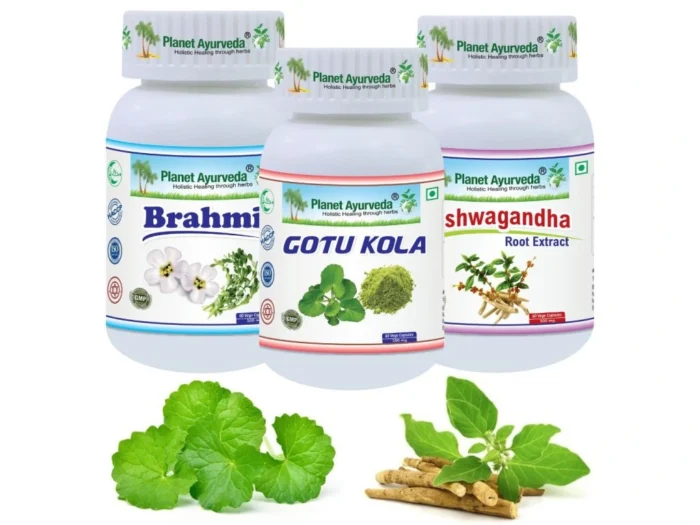 311_planet-ayurveda-nervy-a-psychika