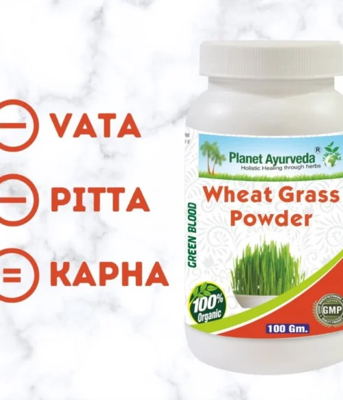 WheatGrass Powder (Mladá Pšenica Prášok) – Obrázok 2