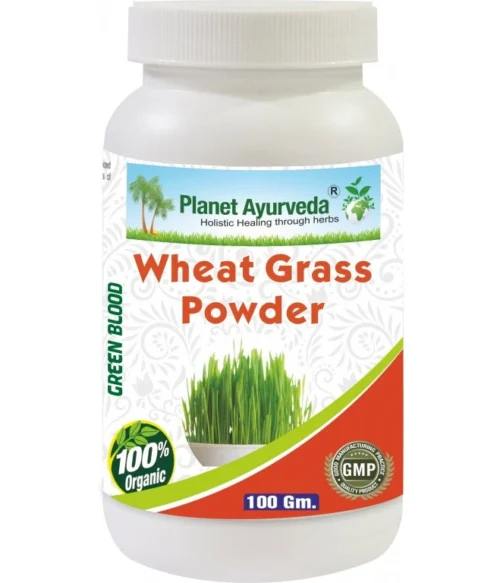 WheatGrass Powder (Mladá Pšenica Prášok) – Obrázok 1