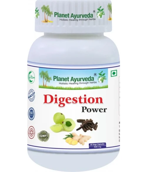 Digestion POWER - Trávenie, Toxíny - 500 mg, 60 kapsúl – Obrázok 1