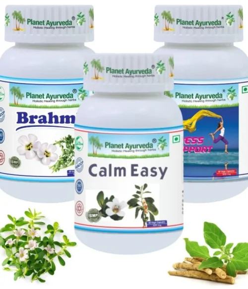 Epilepsia – Obrázok 1