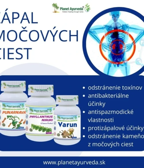 Zápal močových ciest – Obrázok 5