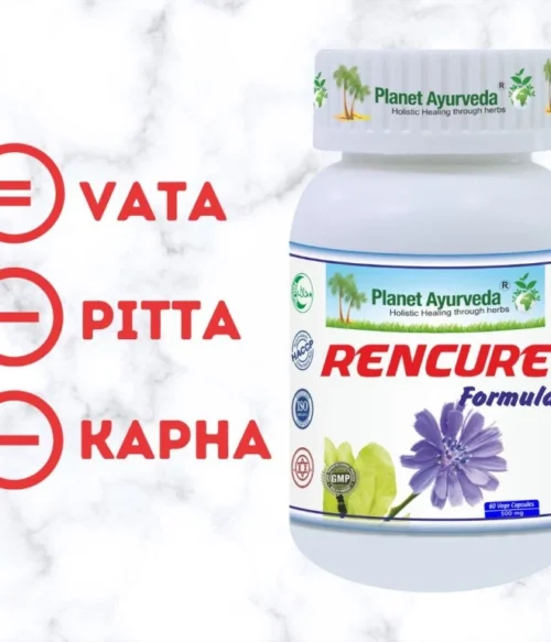 Rencure Formula - Zdravie obličiek - 500 mg, 60 kapsúl – Obrázok 2