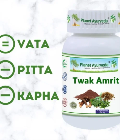 Twak Amrit - Čistenie krvi - 500 mg, 60 kapsúl – Obrázok 2