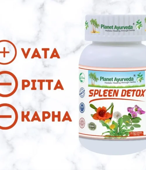 Spleen Detox - Zdravie, regenerácia a detox sleziny - 500 mg, 60 kapsúl – Obrázok 2