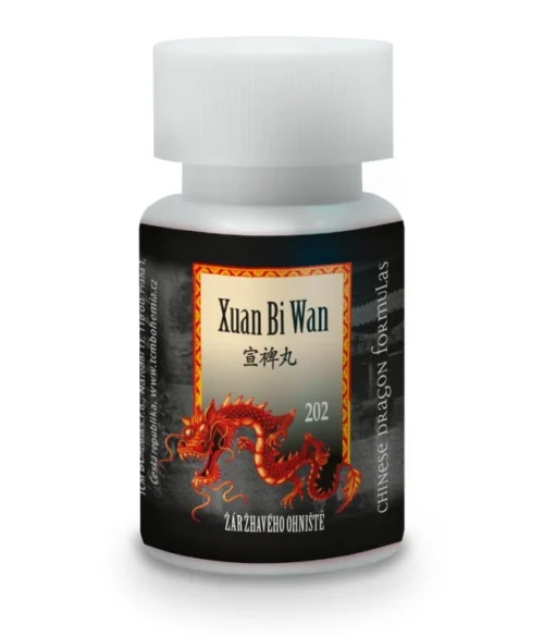 ŽIARA ŽERAVÉHO OHNISKA - XUAN BI WAN