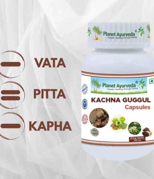 Kachna Guggul (Kanchanar Guggul)- lymfatický systém, cysty - 500 mg, 60 kapsúl – Obrázok 2